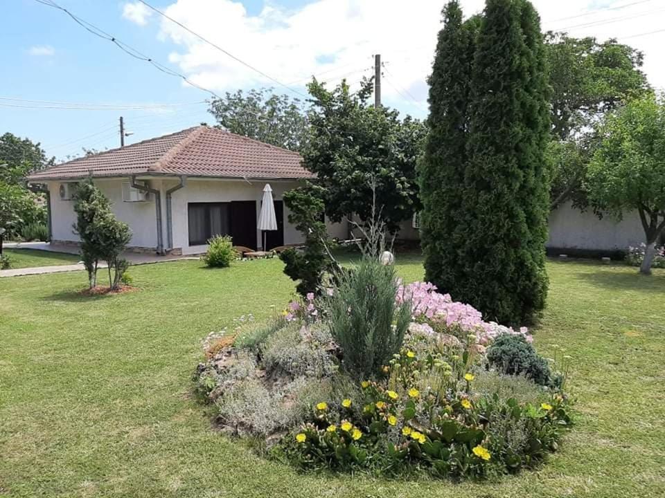 Guesthouse Oasis-Shabla Exterior foto